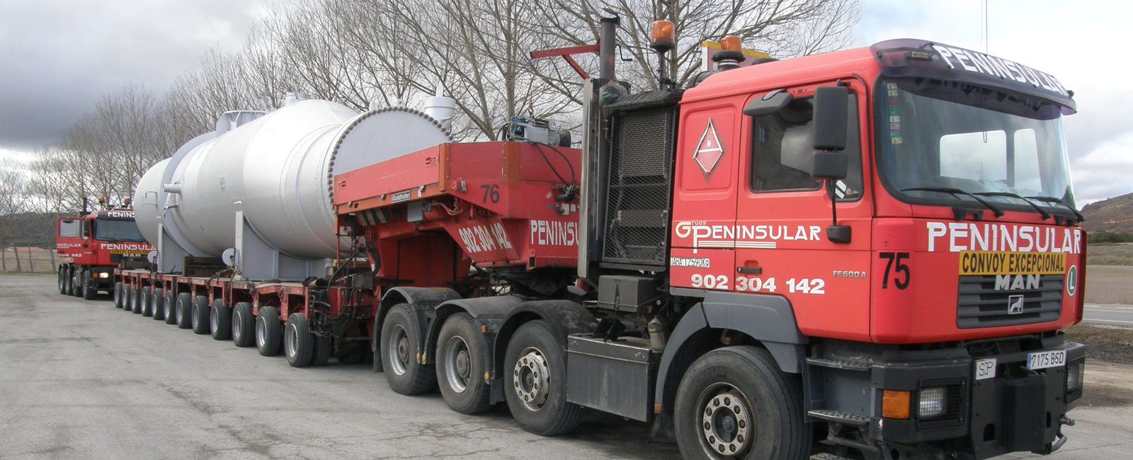 Cuello cisne transportando un reactor